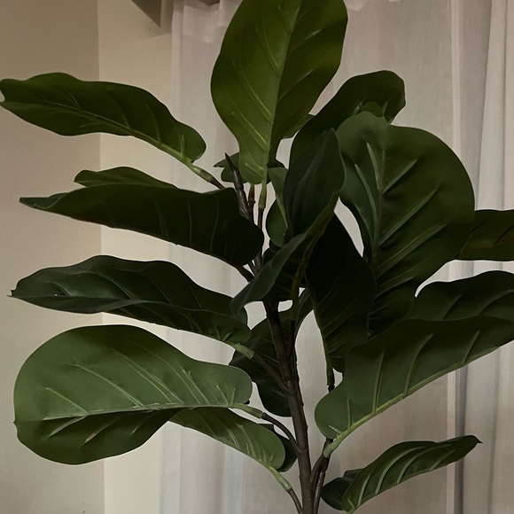 Faux Fiddle Leaf Fig 22 inches - Picture 2 of 7